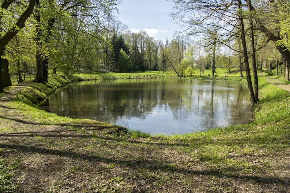 Mise au normes étangs près de Seilhac