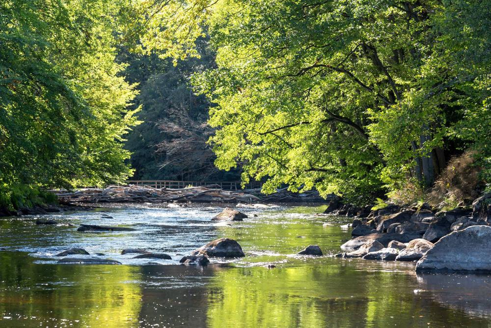 Mise au normes plan d'eau près de Seilhac