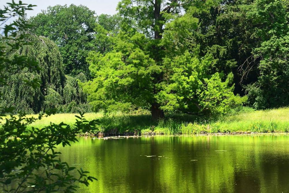 Régularisation des plans d'eau près de Seilhac