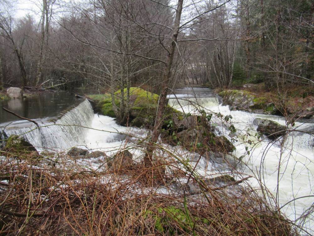 etangs et plan d'eau montintin (10)