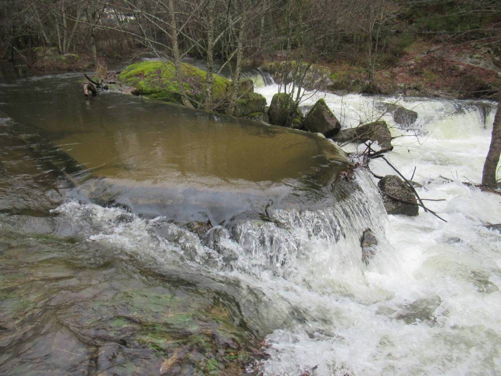 etangs et plan d'eau montintin (11)