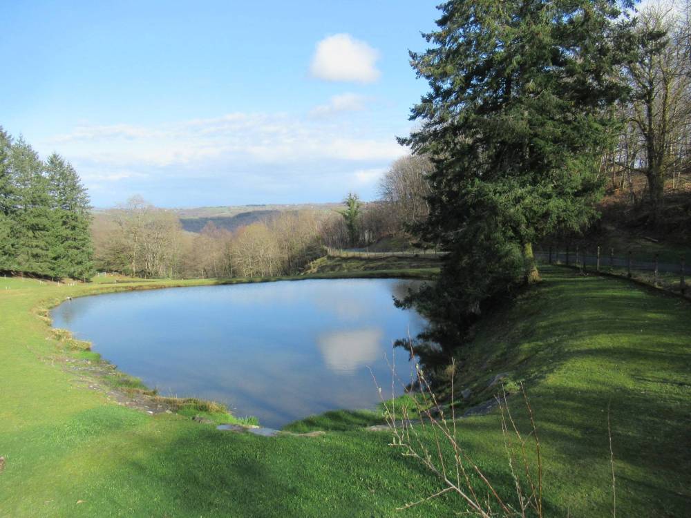etangs et plan d'eau montintin (12)