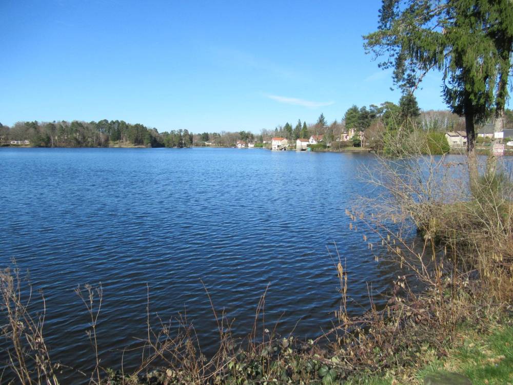 etangs et plan d'eau montintin (13)