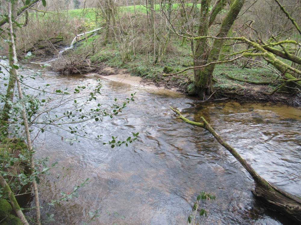 etangs et plan d'eau montintin (14)