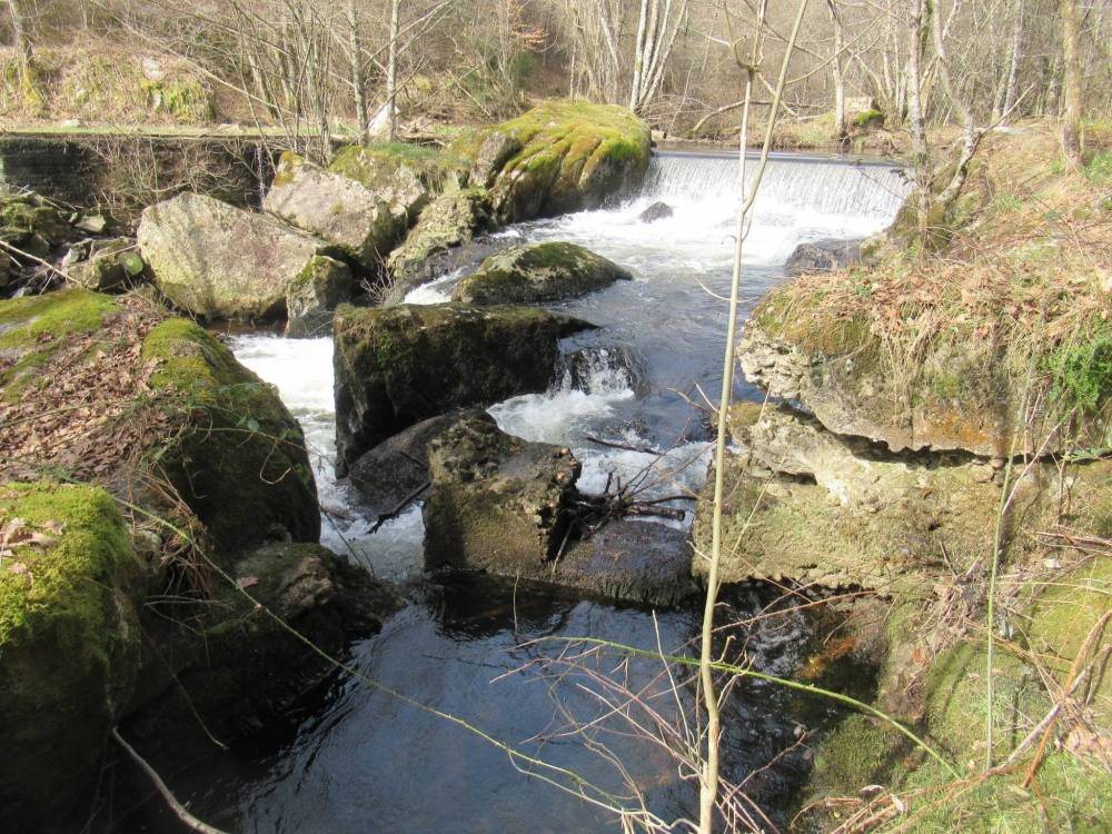 etangs et plan d'eau montintin (15)