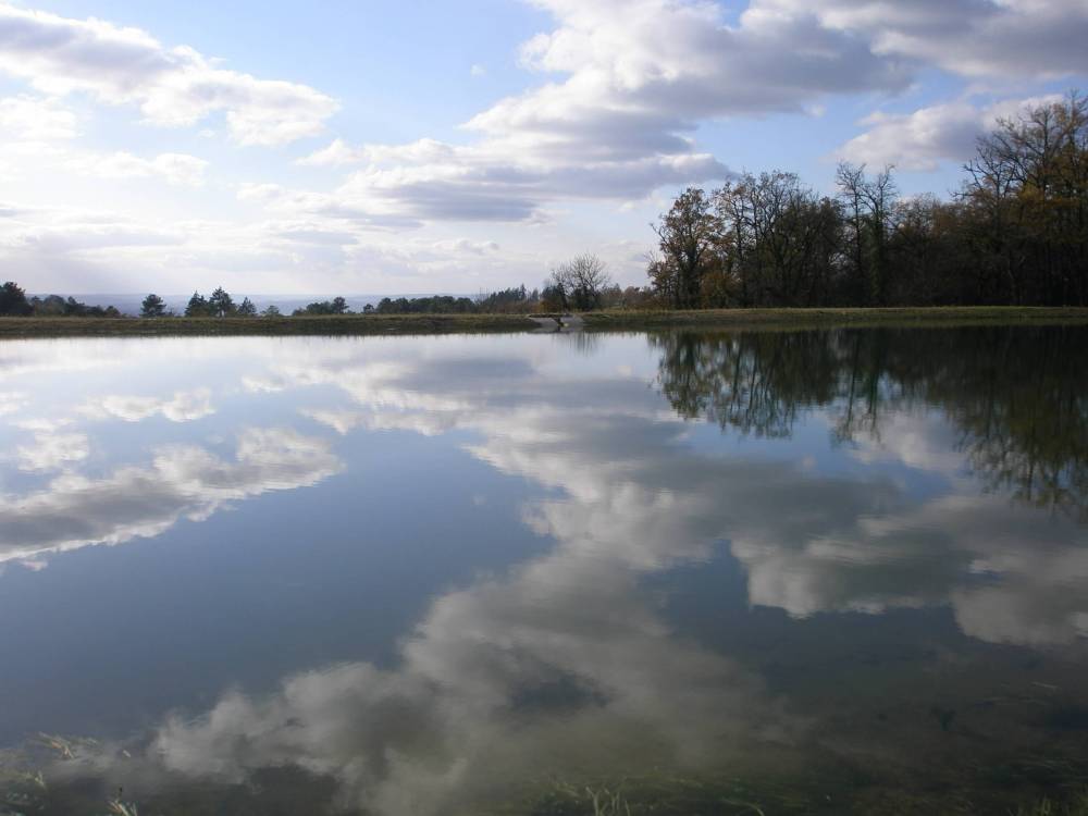 etangs et plan d'eau montintin (18)