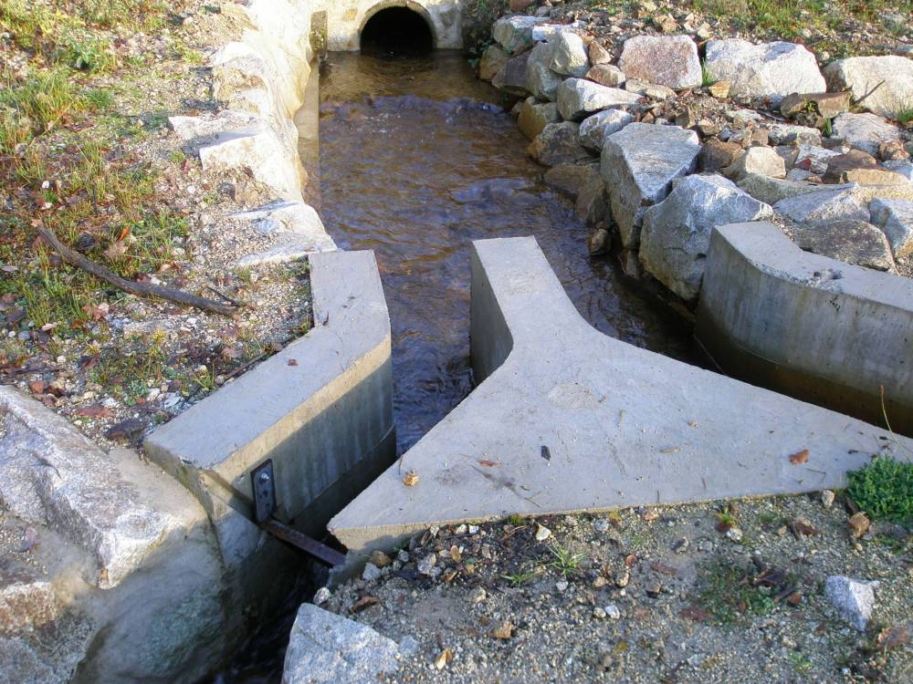 etangs et plan d'eau montintin (19)