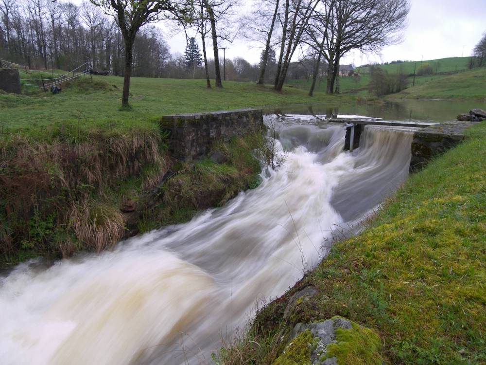 etangs et plan d'eau montintin (20)