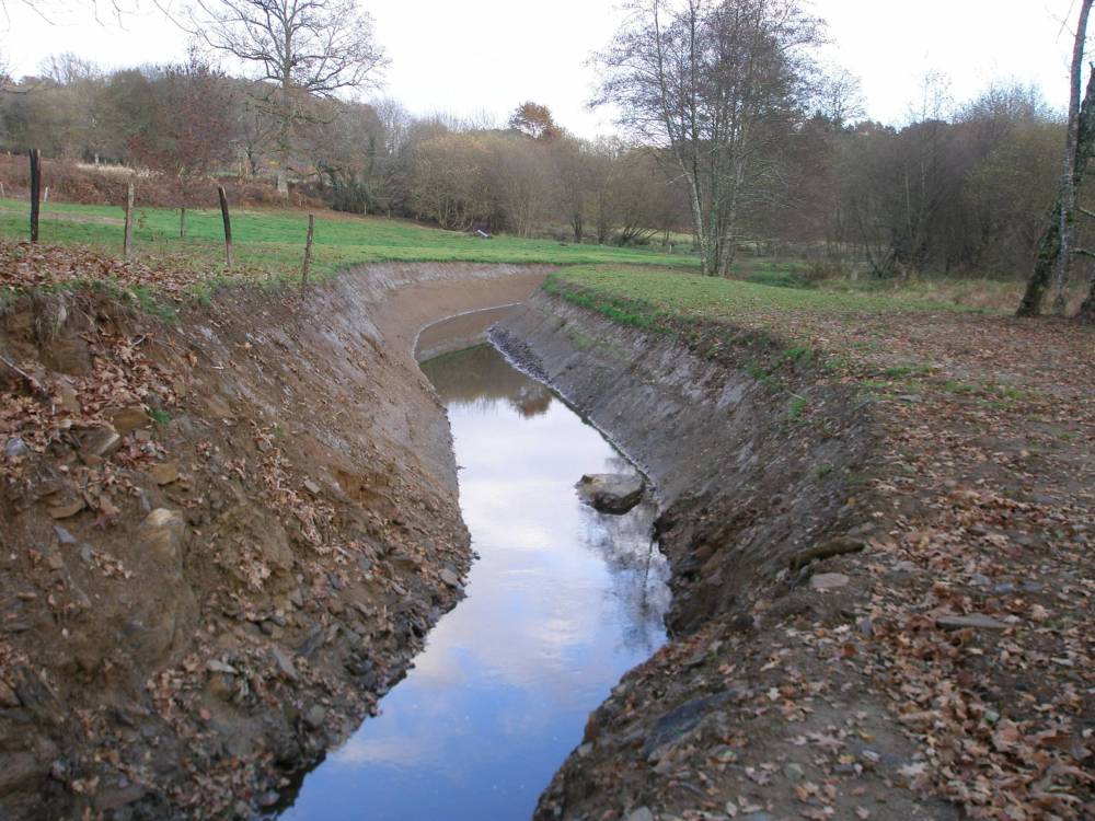 etangs et plan d'eau montintin (21)