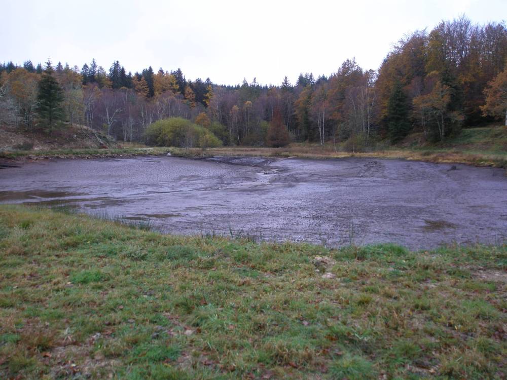 etangs et plan d'eau montintin (23)