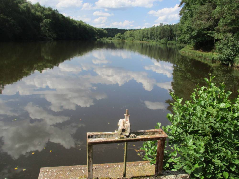 etangs et plan d'eau montintin (28)